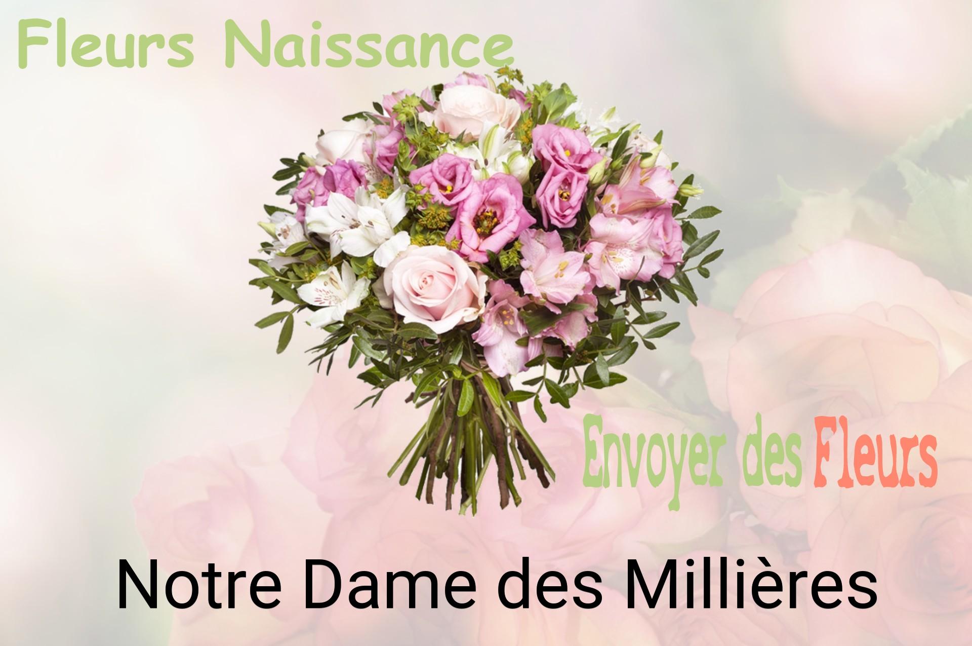 Bouquet de fleurs de naissance livré à Notre-Dame-des-Millières